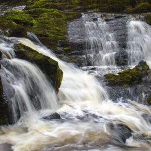 Ingleton Waterfalls Walk - Tucker