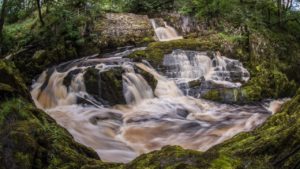 Ingleton Waterfalls - Alan Tunnicliffe