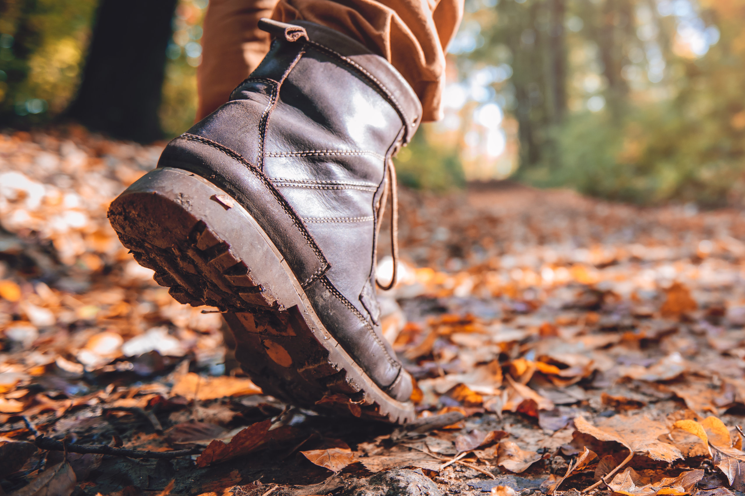 Autumn Walks at Ingleton Waterfalls Trail