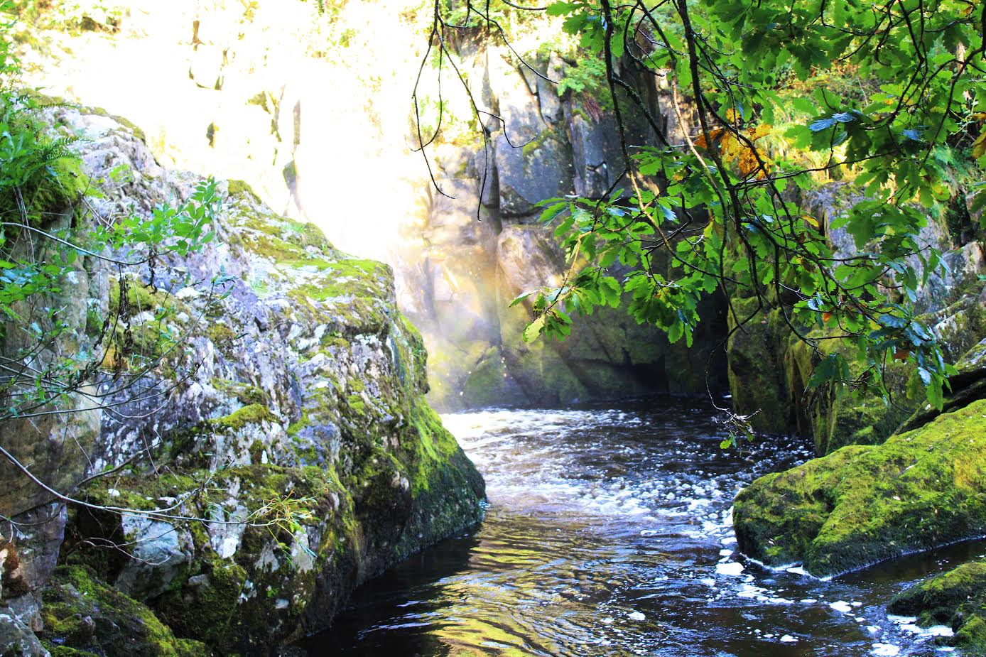 Geology and Ecxology Guide - Ingleton Waterfalls Trail