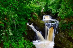 Ingleton Waterfalls - Matthew Stuttard