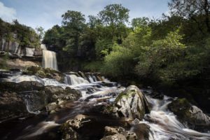 Thornton Force Landscape