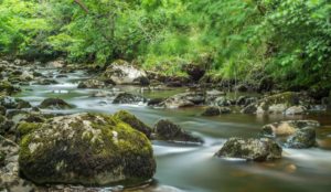 Tranquil River