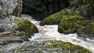 Ingleton Waterfalls - andrew thompson