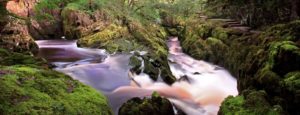 Ingleton waterfalls - craig chambers