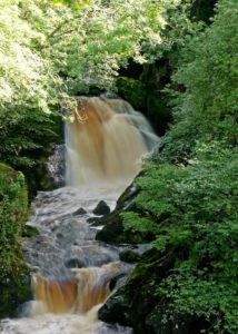 Ingleton Waterfalls - peter chattle