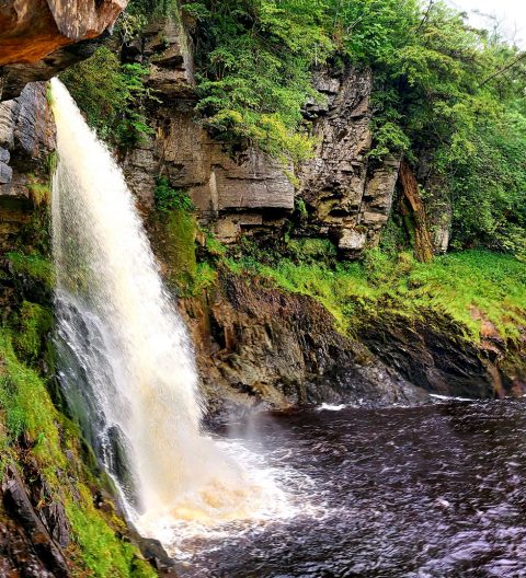 Ingleton Waterfalls Trail - Spring Walks In The Yorkshire Dales